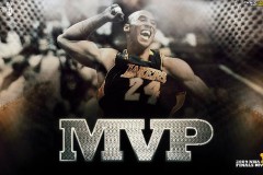 湖人新援海斯与约基奇、申京：中锋实力排行榜上的风云变幻